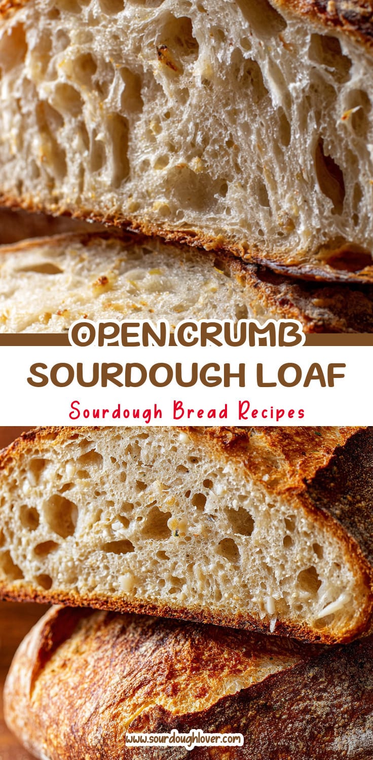 High Hydration Sourdough: Open Crumb & Savory Parmesan Flavor
