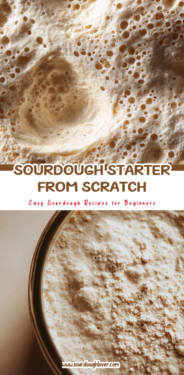 Create a Strong Sourdough Starter From Scratch: Beginner's Guide