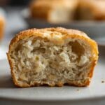 How to Feed a Sourdough Starter: Revive Your Starter From the Fridge 12 =