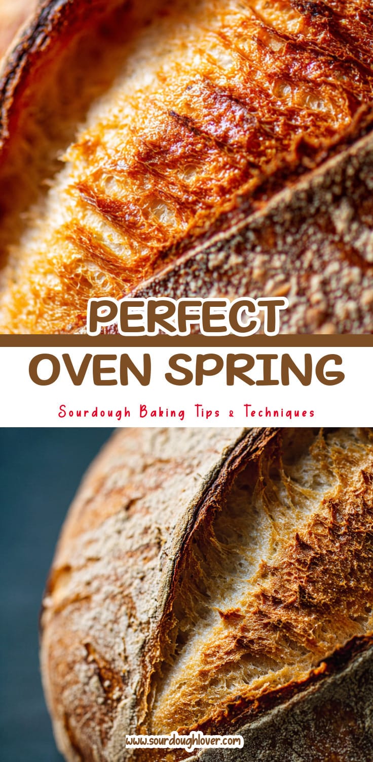 Achieve Perfect Oven Spring Every Time 14 Achieve Perfect Oven Spring Every Time