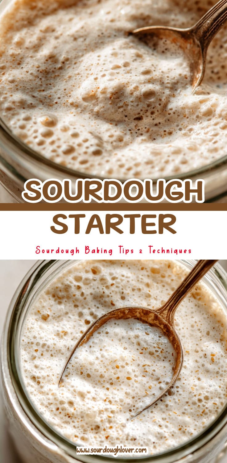 Revive Your Sourdough Starter: A Pain Solver Guide