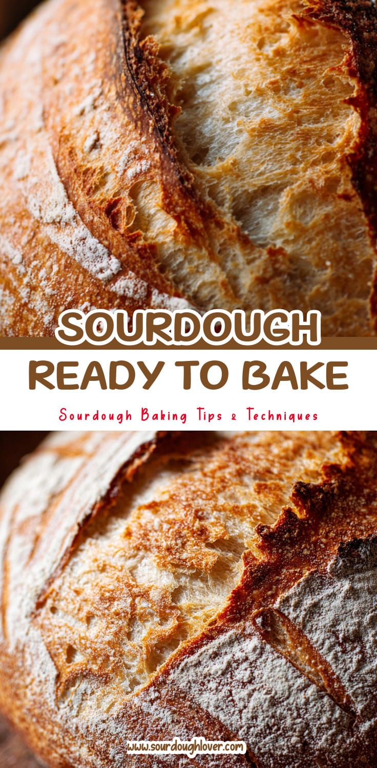 Sourdough Bread Tips: How to Tell When Your Dough Is Ready to Bake