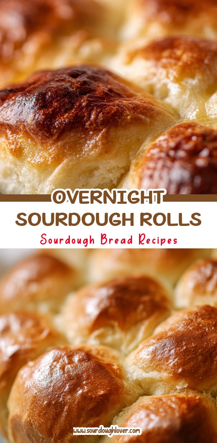Overnight Sourdough Pull Apart Rolls for Easy Mornings