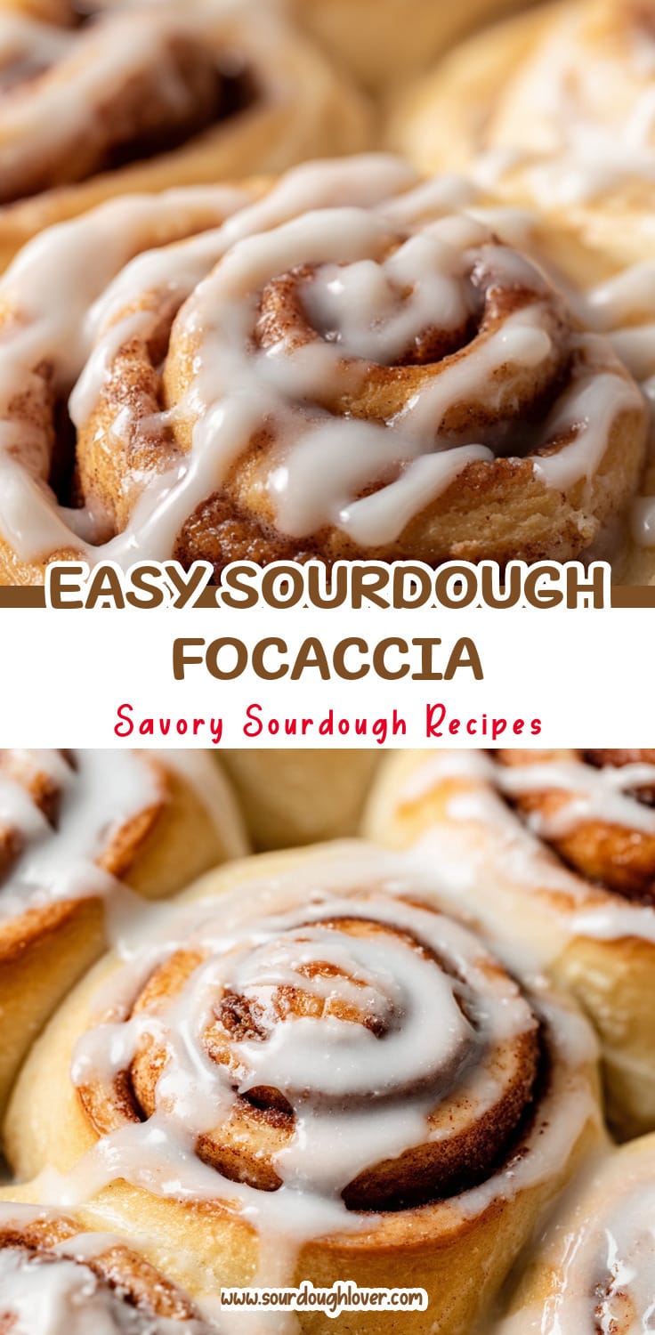 Rustic Sourdough Garlic Focaccia That's Easy to Make 14 Rustic Sourdough Garlic Focaccia That's Easy to Make