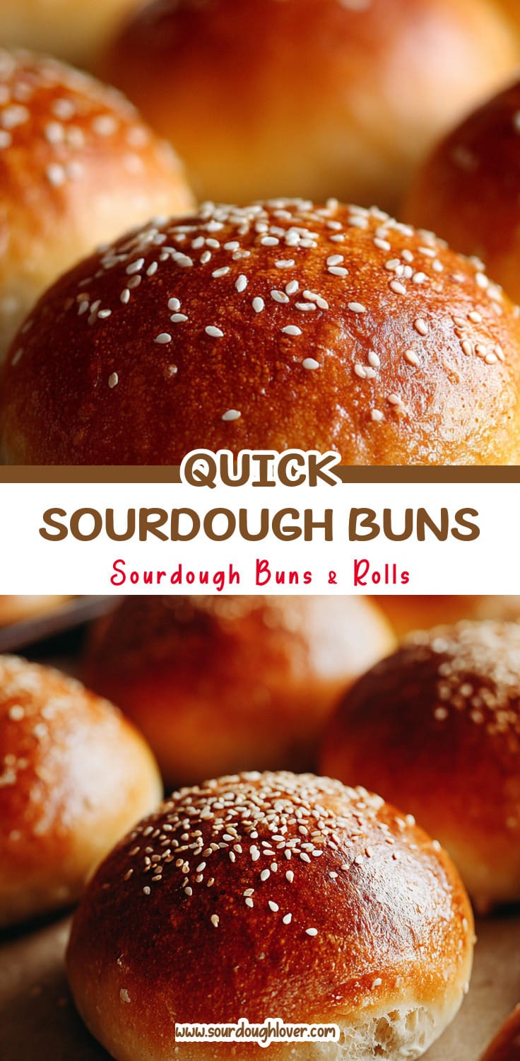 Quick Sourdough Buns for Burgers & Sliders