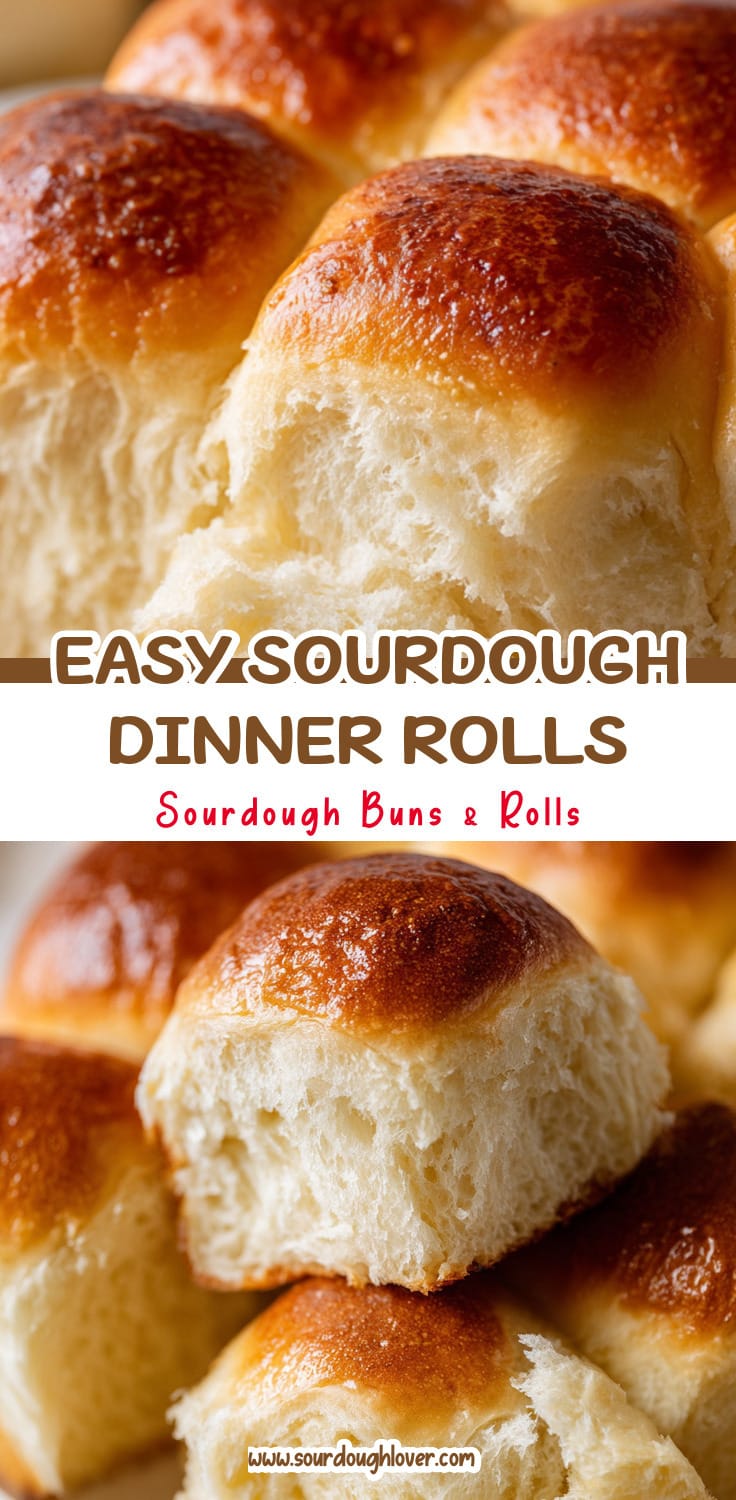 Soft Sourdough Dinner Rolls That Are Easy to Make
