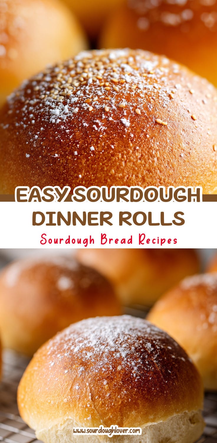 Soft Sourdough Dinner Rolls That Are Easy to Make 14 Soft Sourdough Dinner Rolls That Are Easy to Make