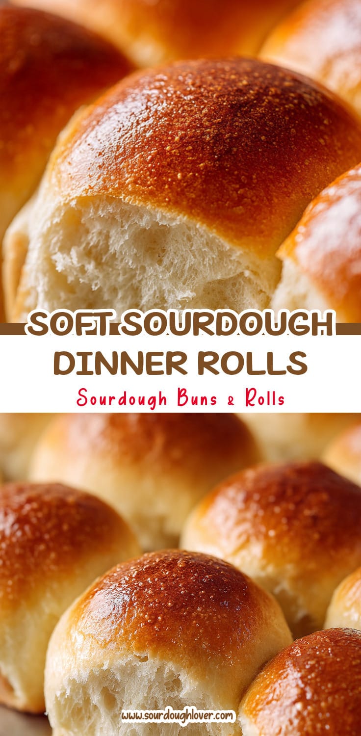 Soft Sourdough Dinner Rolls (Overnight) - Best Sourdough Rolls Recipe