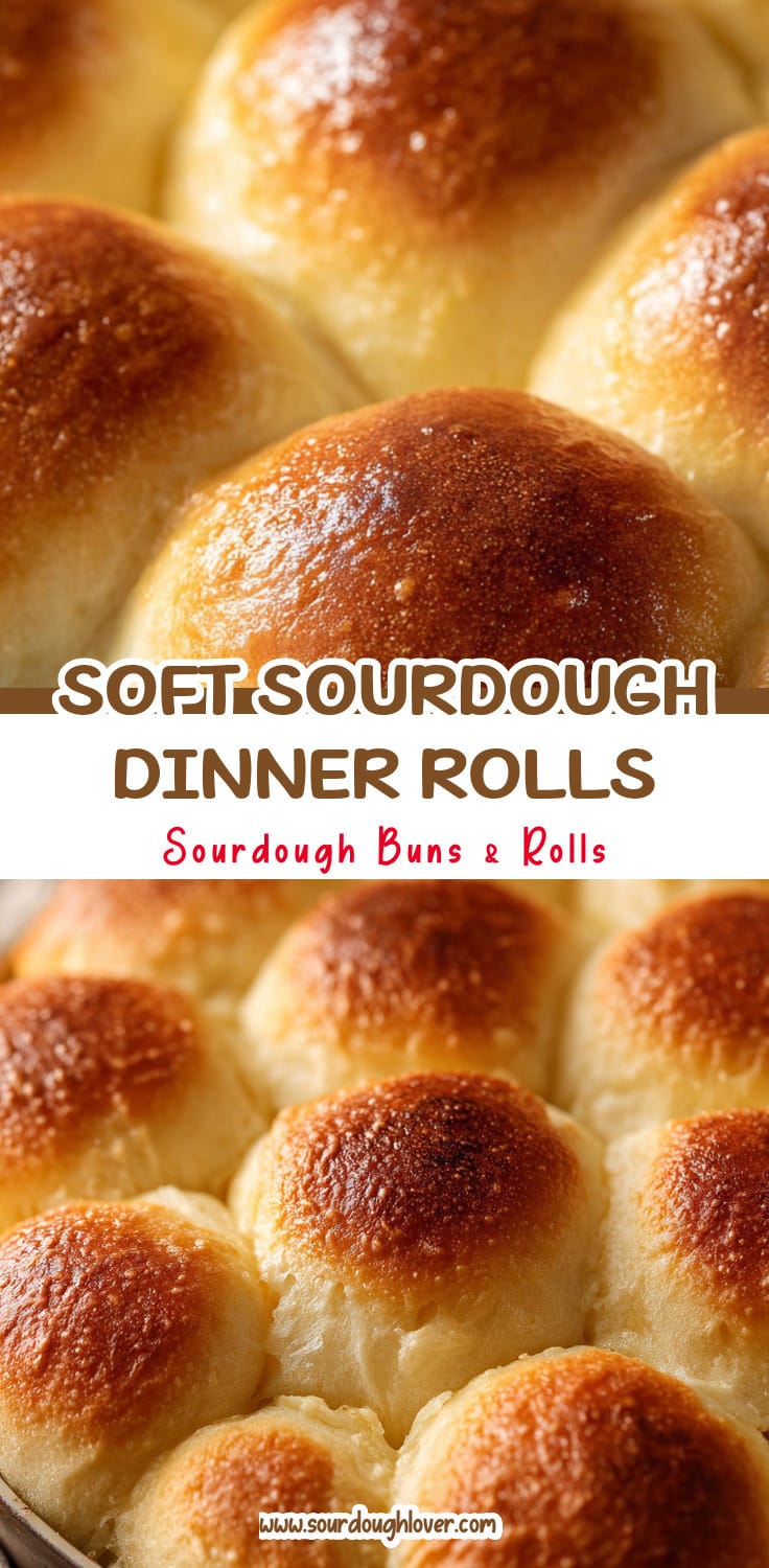 Soft Sourdough Pull-Apart Dinner Rolls: Easy Recipe