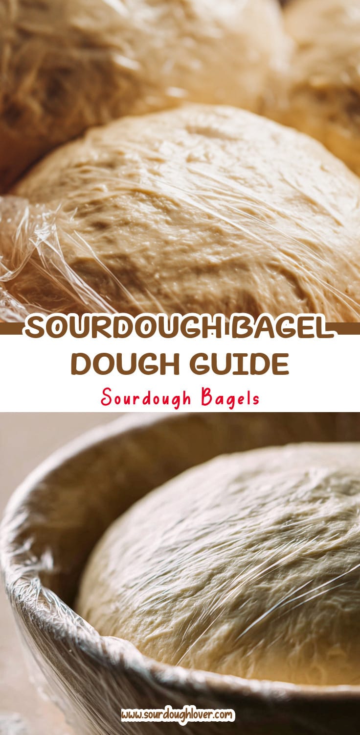 Overnight Sourdough Discard Bagels: Dough Resting Guide