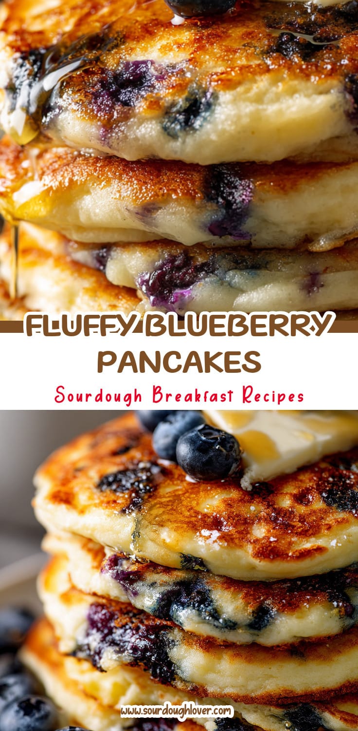 Fluffy Sourdough Blueberry Pancakes for a Delicious Family Brunch 14 Fluffy Sourdough Blueberry Pancakes for a Delicious Family Brunch