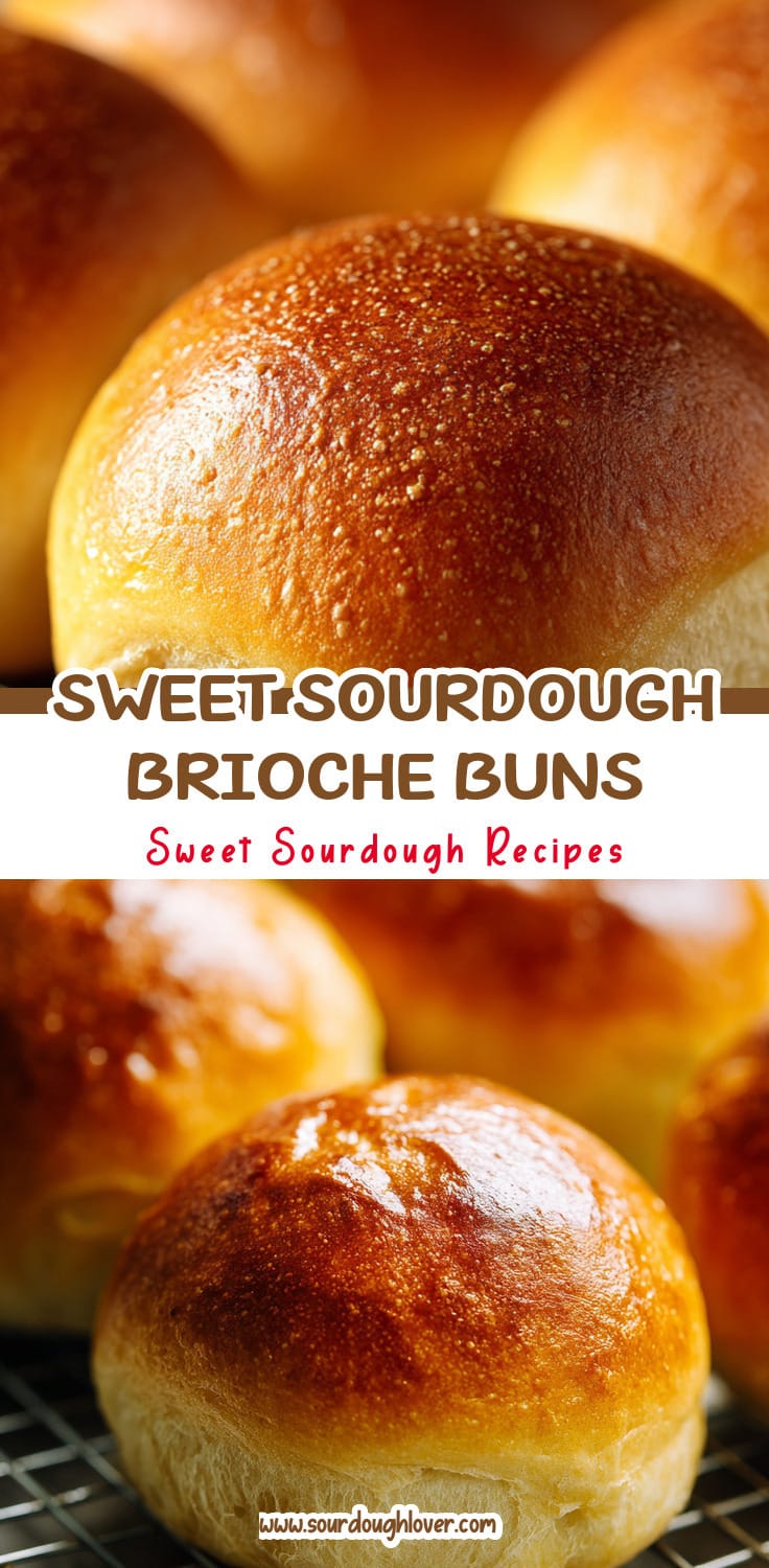 Sourdough Brioche Buns: Sweet & Fluffy Dinner Rolls