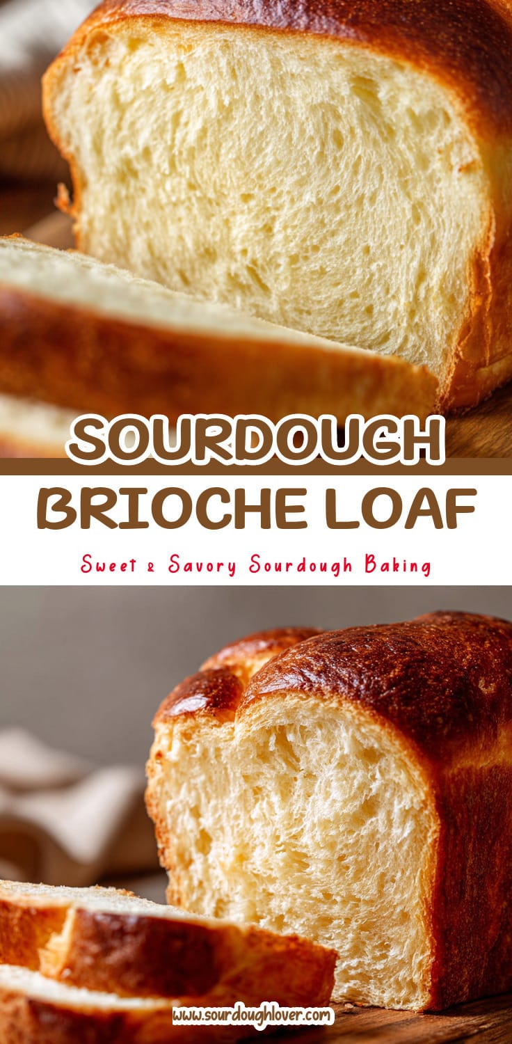 Sourdough Brioche Bread: A Soft & Flavorful Loaf for Any Meal