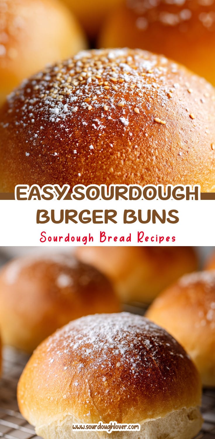Easy Sourdough Discard Hamburger Buns Recipe
