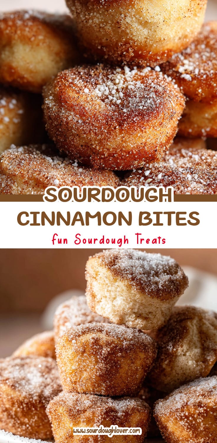 Sourdough Discard Treats: Cinnamon Sugar Biscuit Bites