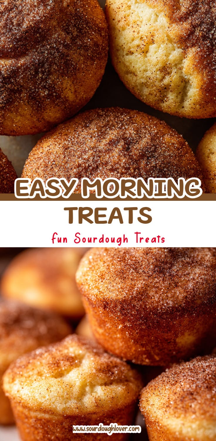 Sourdough Cinnamon Sugar Biscuit Muffins: Easy Morning Treats