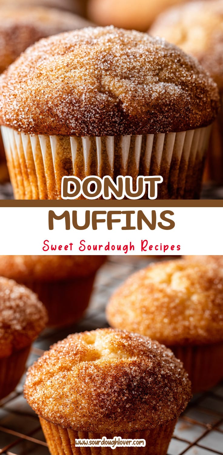 Sourdough Cinnamon Sugar Donut Muffins: Easy Baked Dessert Recipe 14 Sourdough Cinnamon Sugar Donut Muffins: Easy Baked Dessert Recipe