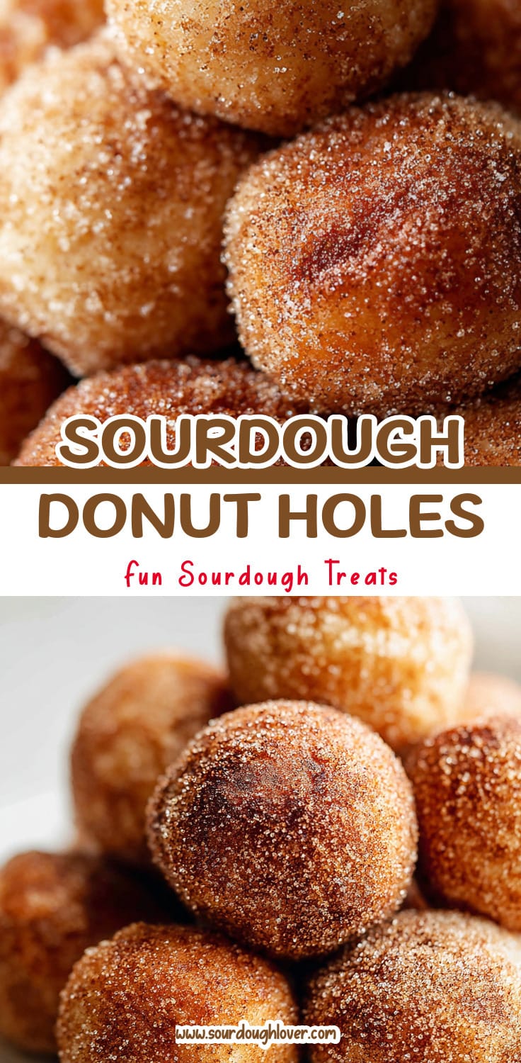 Easy Sourdough Donut Holes (No Yeast!)