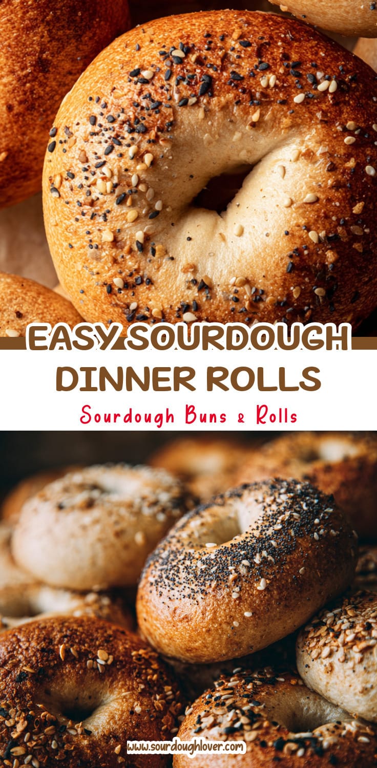Easy Sourdough Dinner Rolls (Recipe Using Sourdough Starter)