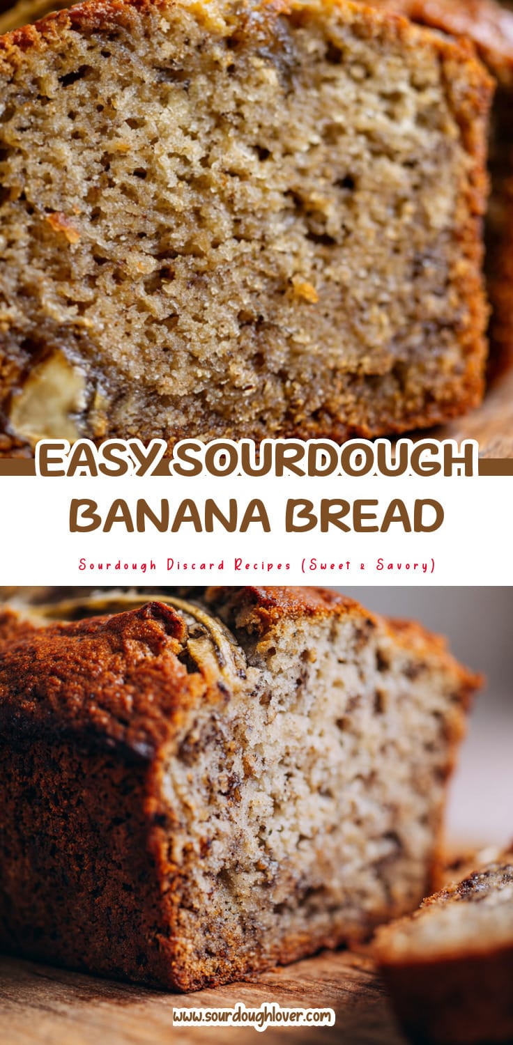 Sourdough Discard Banana Bread Recipe That's Easy & Delicious
