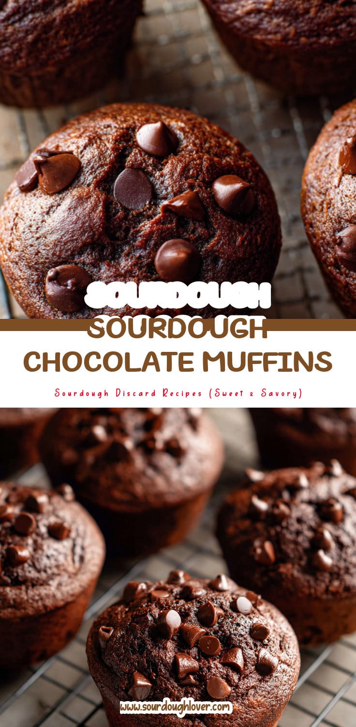 Easy Sourdough Discard Chocolate Muffins for Breakfast