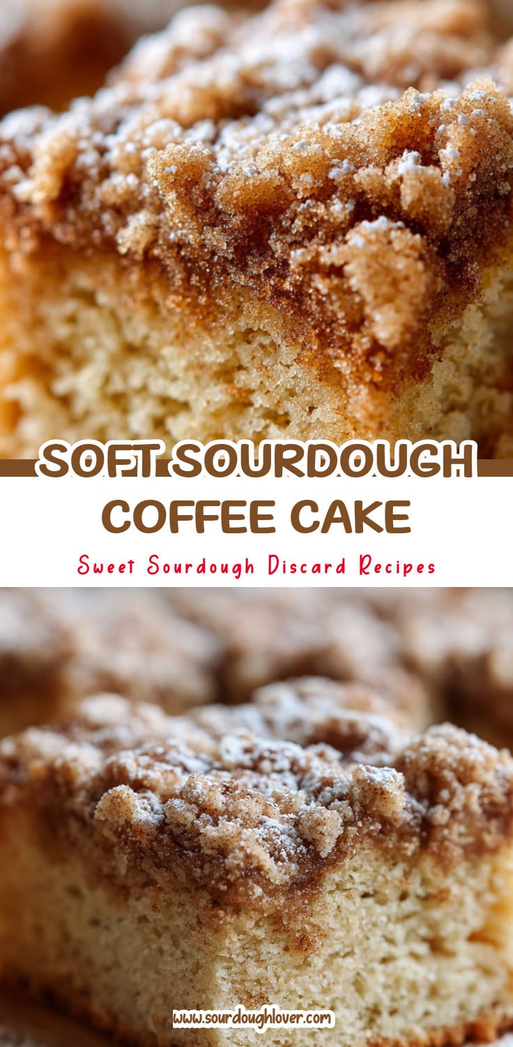 Sourdough Discard Coffee Cake That's Soft & Delicious