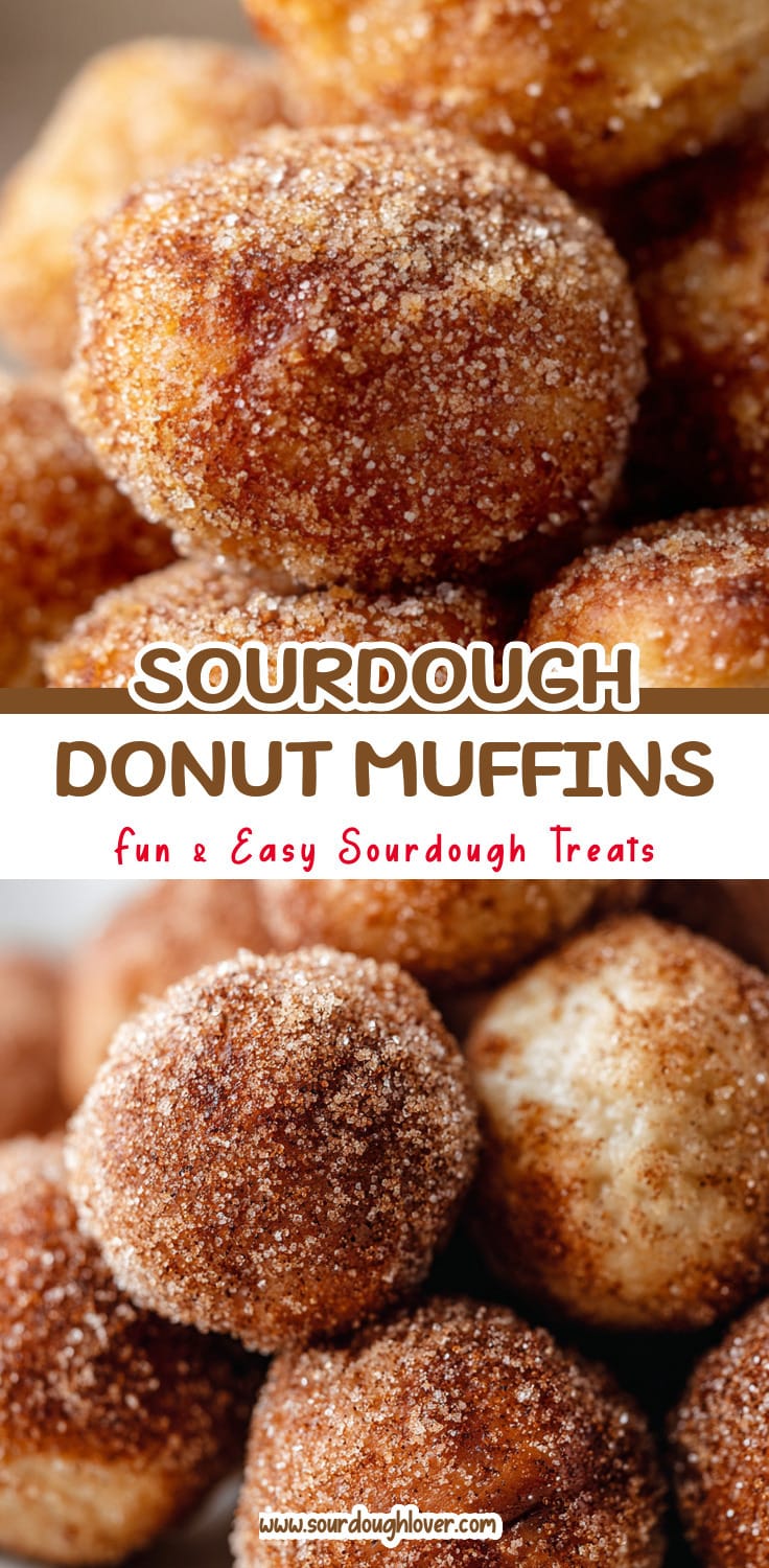 Sourdough Discard Donut Muffins: Simple Home Recipes for Quick Doughnuts