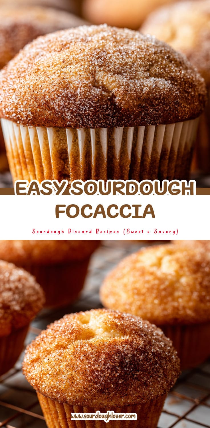 Easy Sourdough Discard Focaccia Bread (Same Day Recipe)