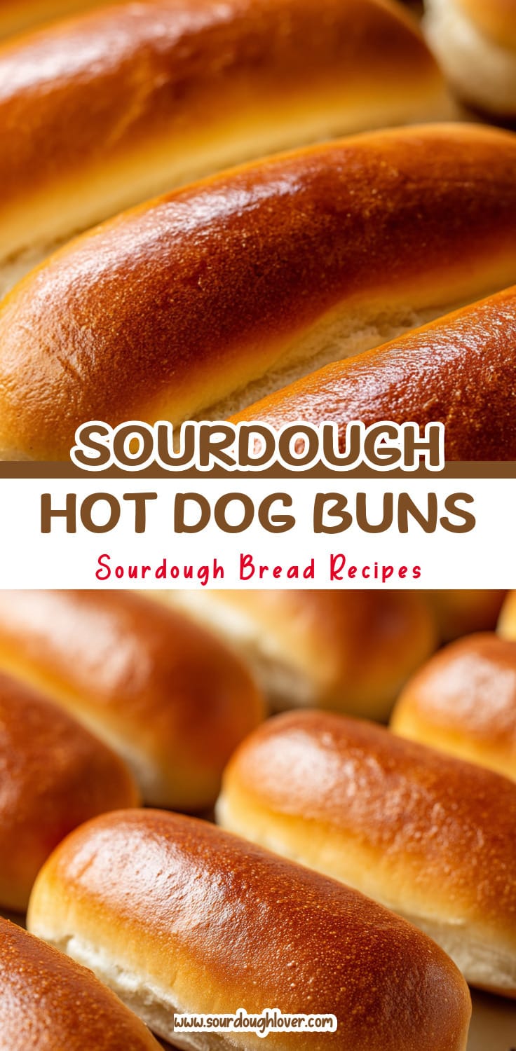 Homemade Sourdough Hot Dog Buns (Fresh & Fluffy)