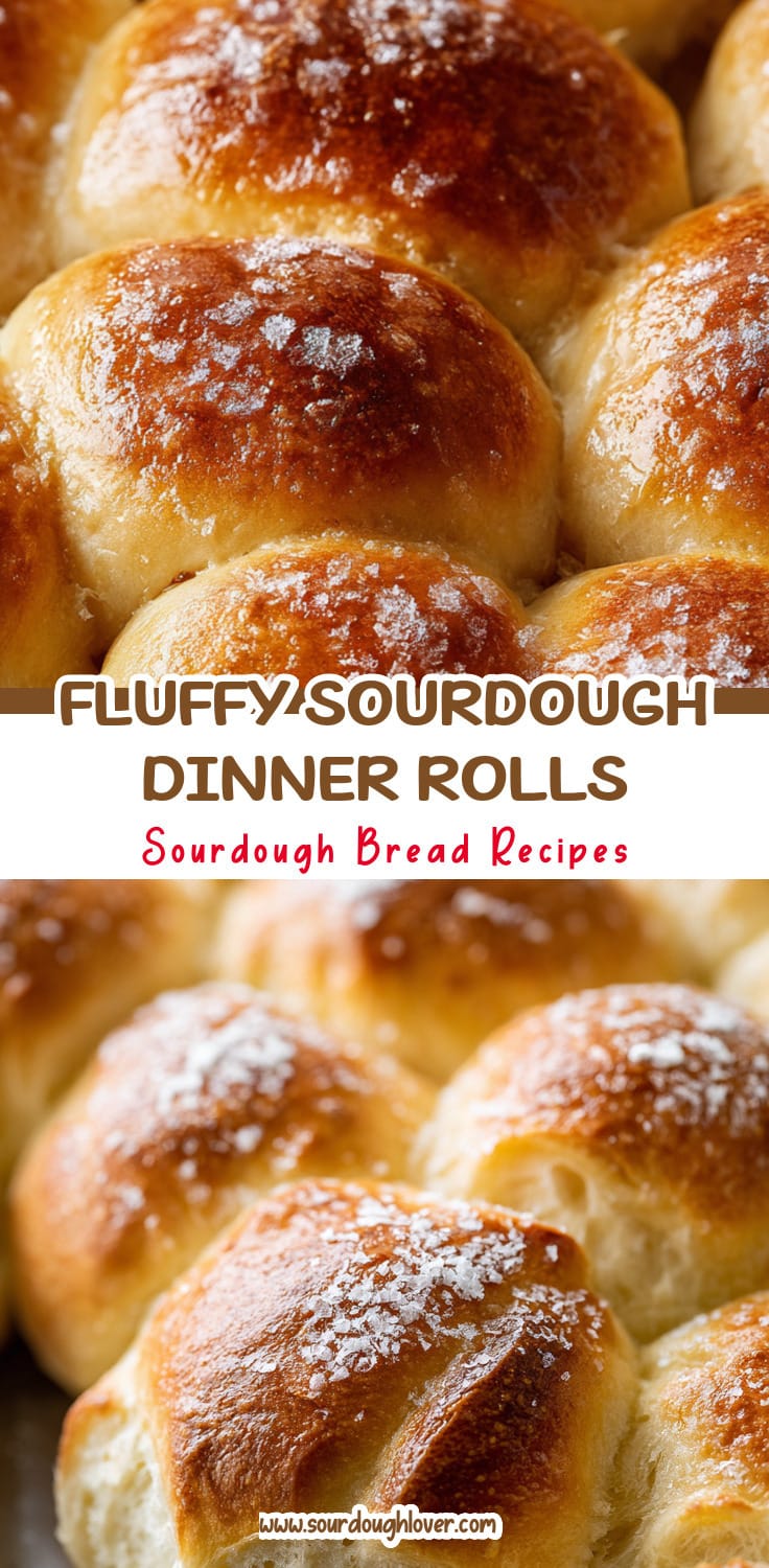 Fluffy Sourdough Dinner Rolls That Are Easy to Make