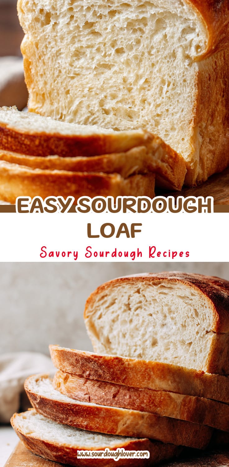 Easy Sourdough Sandwich Bread Recipe (Everyday Loaf)