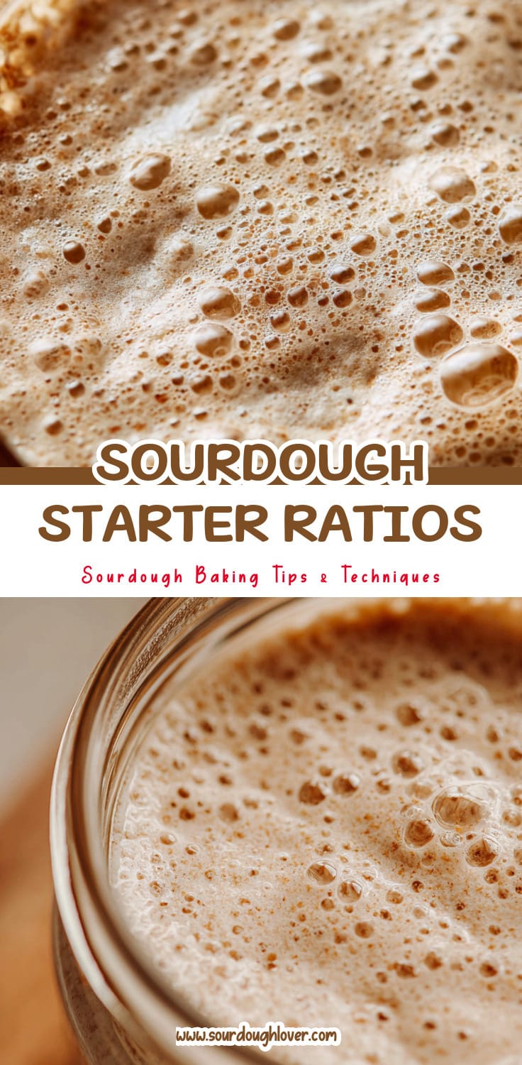 Sourdough Starter Feeding Ratios Explained for Beginners 14 Sourdough Starter Feeding Ratios Explained for Beginners