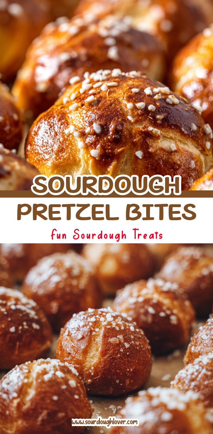 Easy Sourdough Pretzel Bites Recipe (Same Day Sourdough)