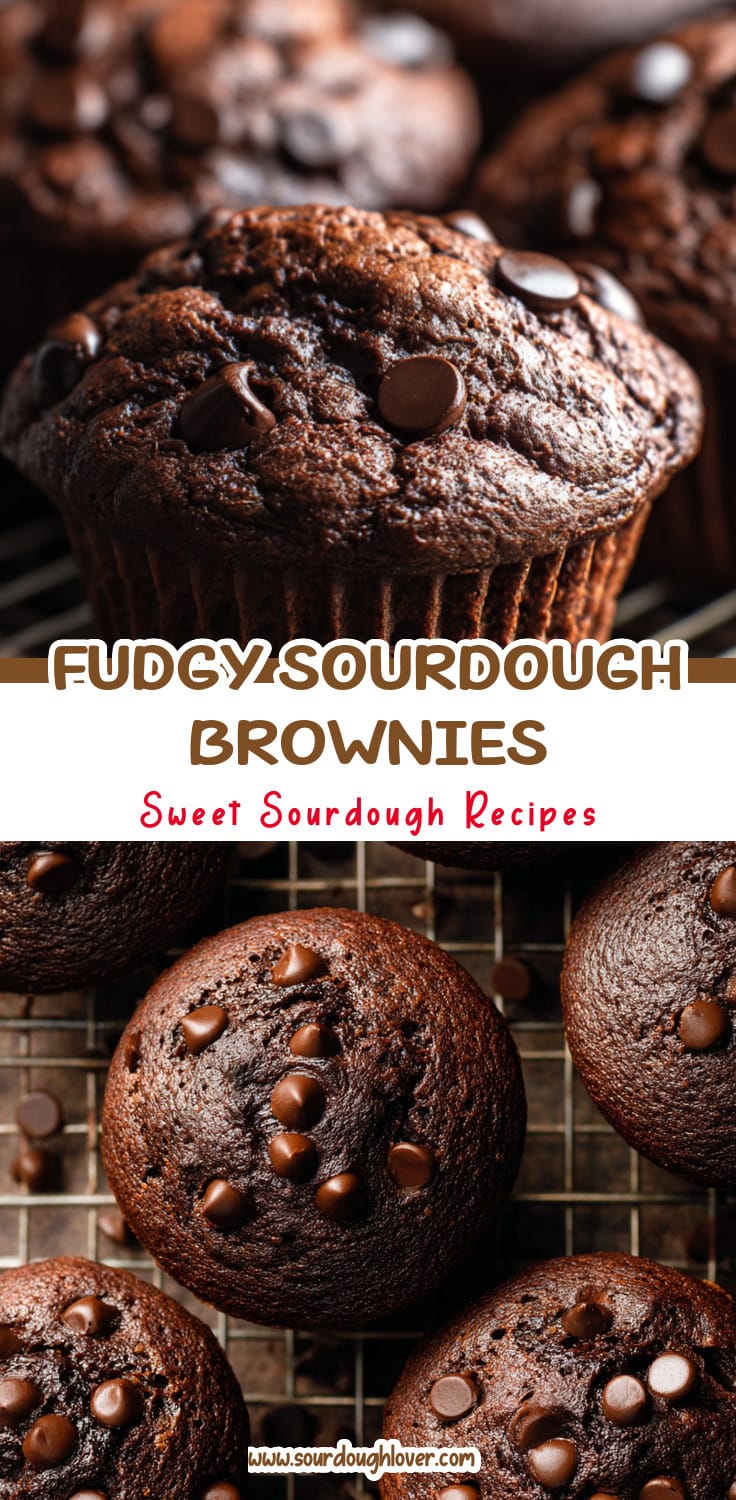 Sourdough Discard Brownies: Chewy & Fudgy Treats 14 Sourdough Discard Brownies: Chewy & Fudgy Treats