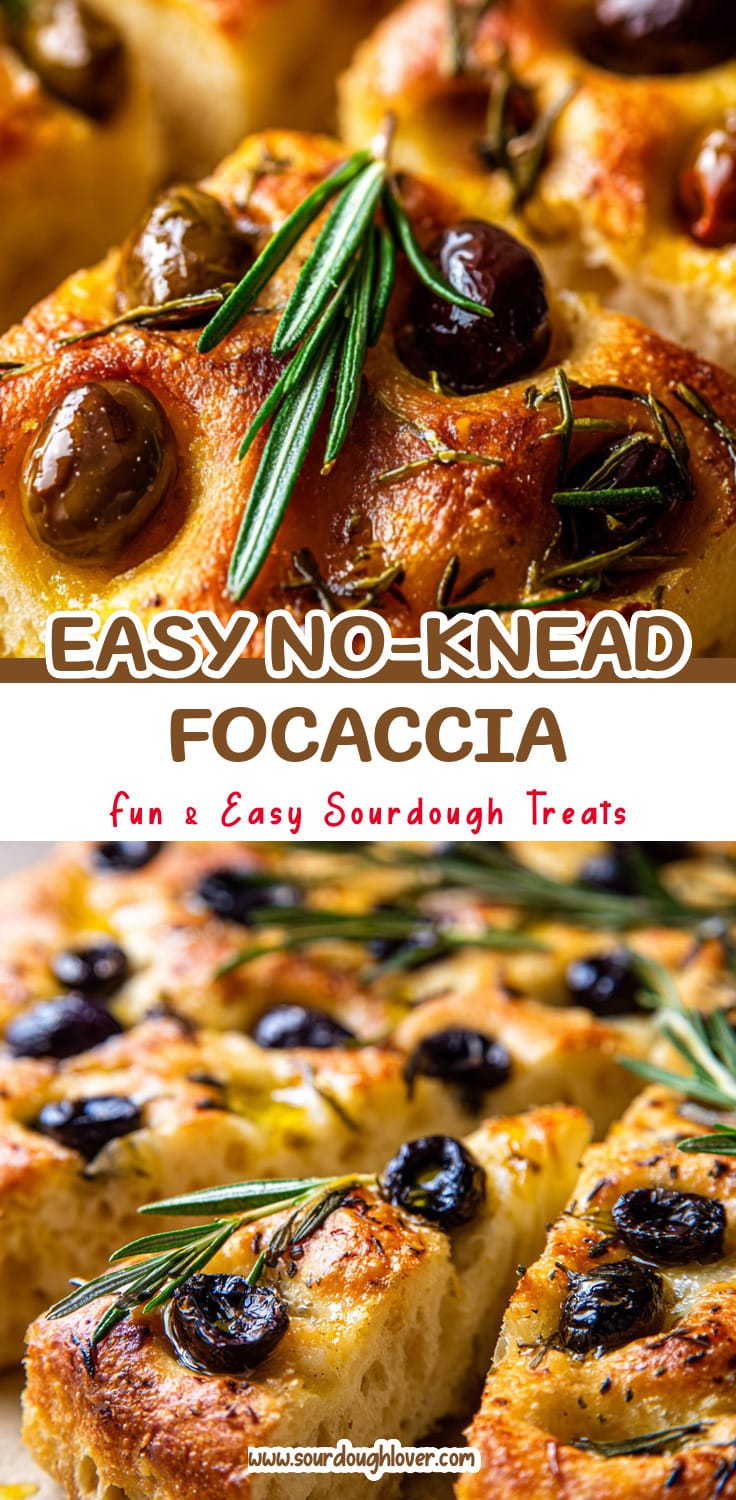 Easy No-Knead Olive Focaccia Bread Recipe