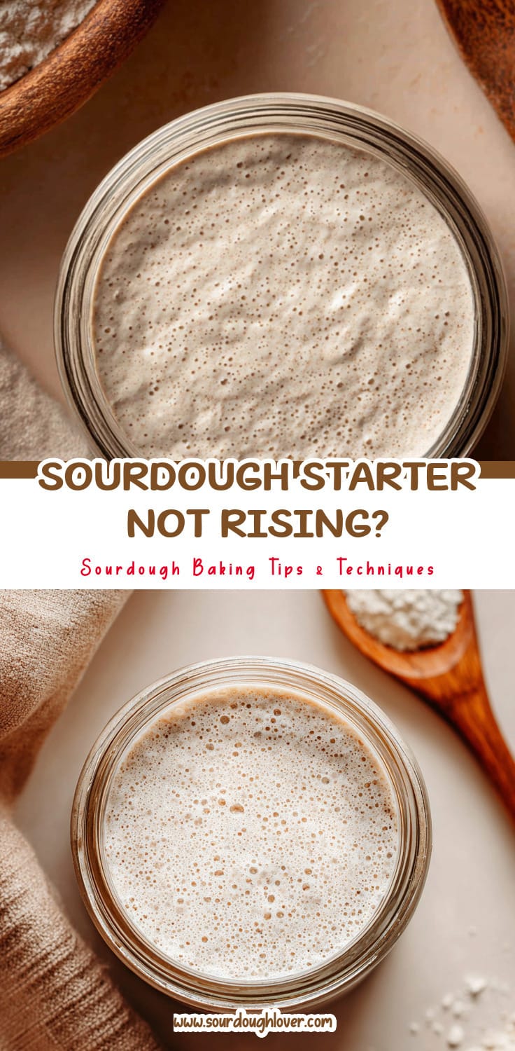 Sourdough Starter Tips: Why Your Starter Isn't Rising